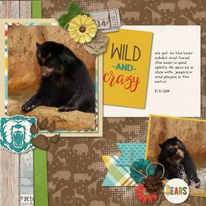 Wild and Crazy
