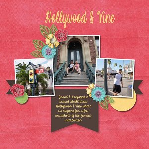 Hollywood + Vine