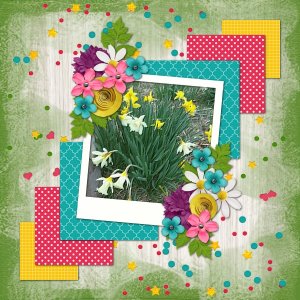 Daffodils