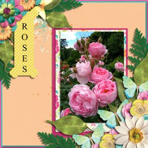 Roses