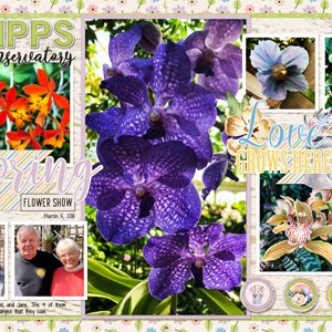 Phipps Conservatory