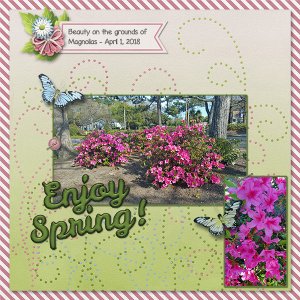 Beauty At Magnolias