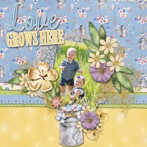 Love Grows Here
