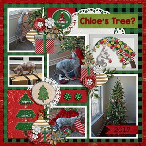 Chloe's Tree?