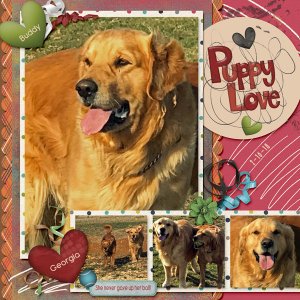 GSBrushChal418-PuppyLove21618