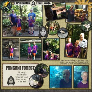 2016 Pangani Trail