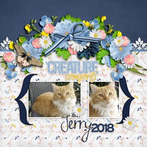 Jerry 2018