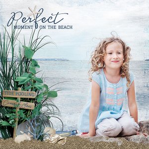 perfect moment on the beach