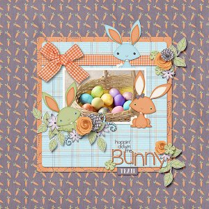 The Bunny Trail