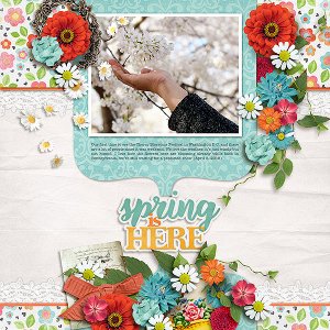 Spring Here