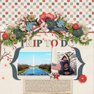 Trip To DC