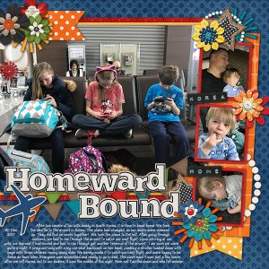 Homeward Bound