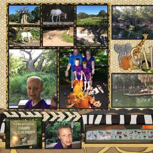 2016 Safari
