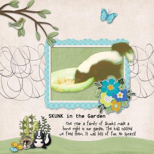Skunk Visit