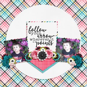 Follow Your Arrow