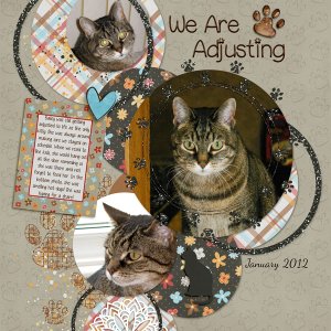 We Are Adjusting