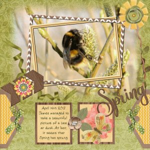 At last - signs of Spring