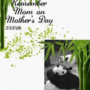 Mother's Day