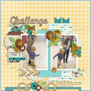 Challenge