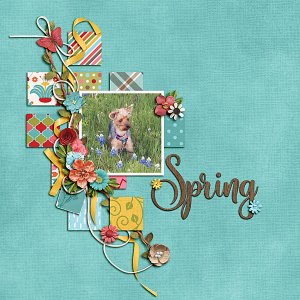 Spring