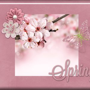Spring