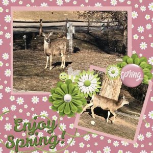 Enjoy spring