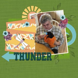 Thunder