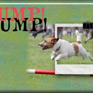 Jump!