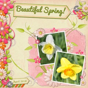 Beautiful Spring!