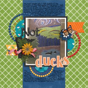 not ducks