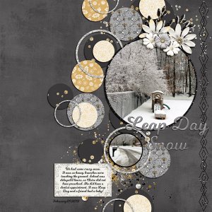 Leap Day Snow
