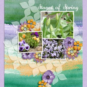 Stages of Spring