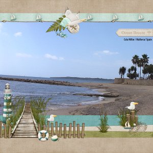 ocean breeze