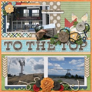up_Stone_Mountain