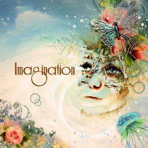 Imagination