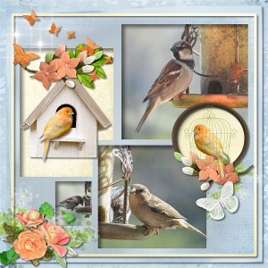 Artisian_5_Beta_Project_Book_2018_2_-BC_Bonheur_600