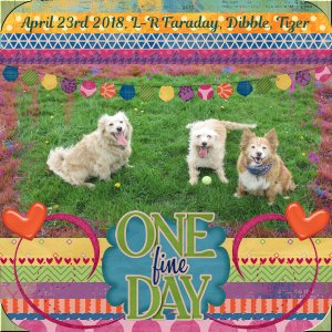 One Fine Day