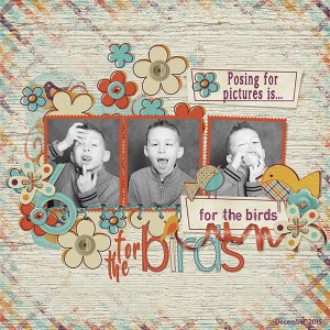 For The Birds
