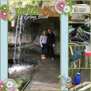 0418 Hello Spring Break
