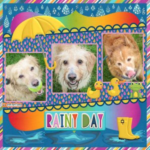 Rainy Day!