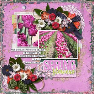 Spring Flowers