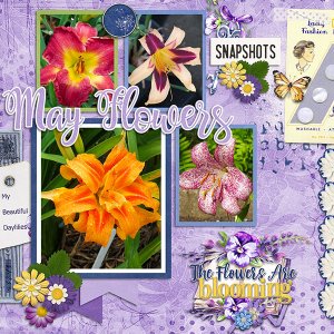 Daylilies