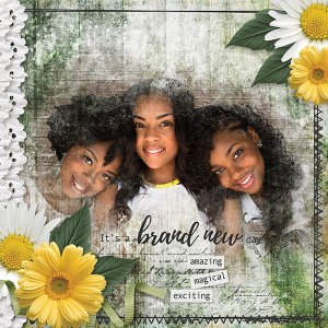 Brand New Day