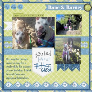 Bane and Barney