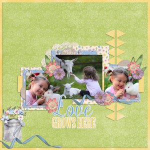 Love grows here
