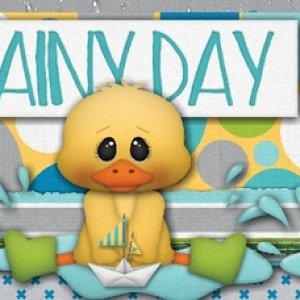 Rainy Day
