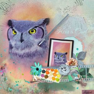 Kcias Owl