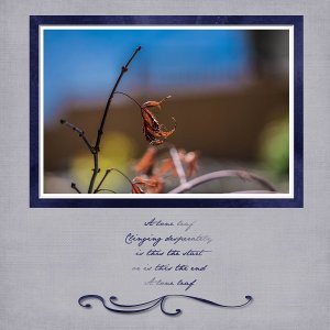 Lone Leaf