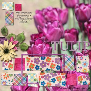 Tulip