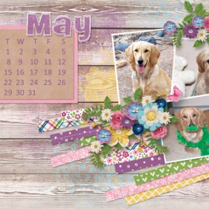 May 2018 Desktop